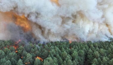 Wildfire sweeps through forest near Paris as UK says 2700 died from heatwaves