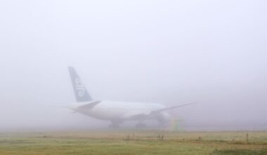 Fog in Auckand cancels 14 regional flights, fatal crash closes State Highway 2