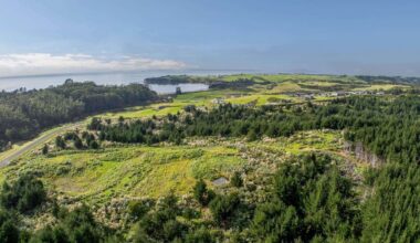 Weiti project developer Green & McCahill Holdings owes creditors $73m, liquidators say