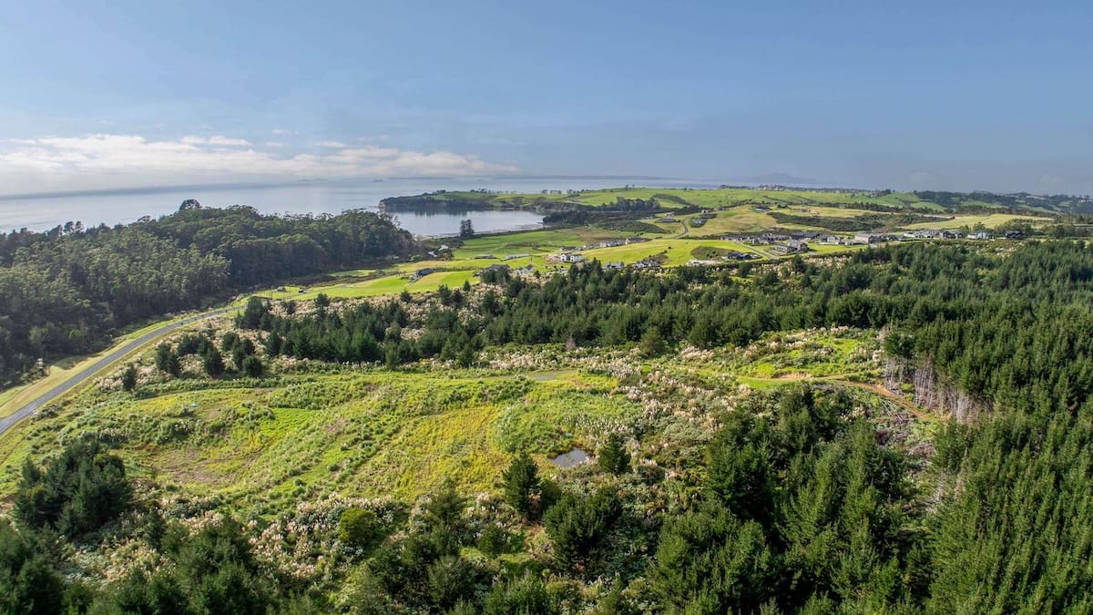 Weiti project developer Green & McCahill Holdings owes creditors $73m, liquidators say