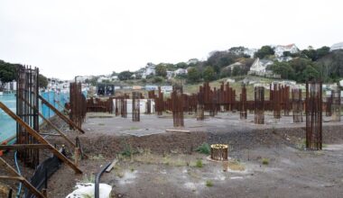 Kāinga Ora’s Wellington Arlington development to be scaled back after $50m spent, Bishop reveals