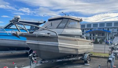 Napier boat theft: Police seek sightings of ‘Mighty Pelican’ and trailer