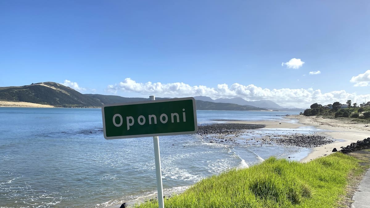 Ōpononi shop owner calls for more cameras after alleged armed robbery attempt