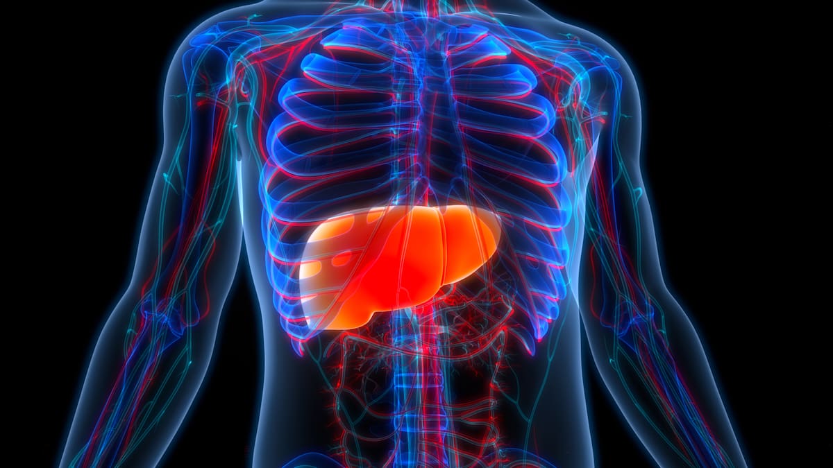 Rising tide of little-known liver disease prompts calls for greater awareness and lifestyle changes