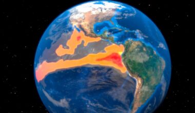 El Niño officially declared in New Zealand