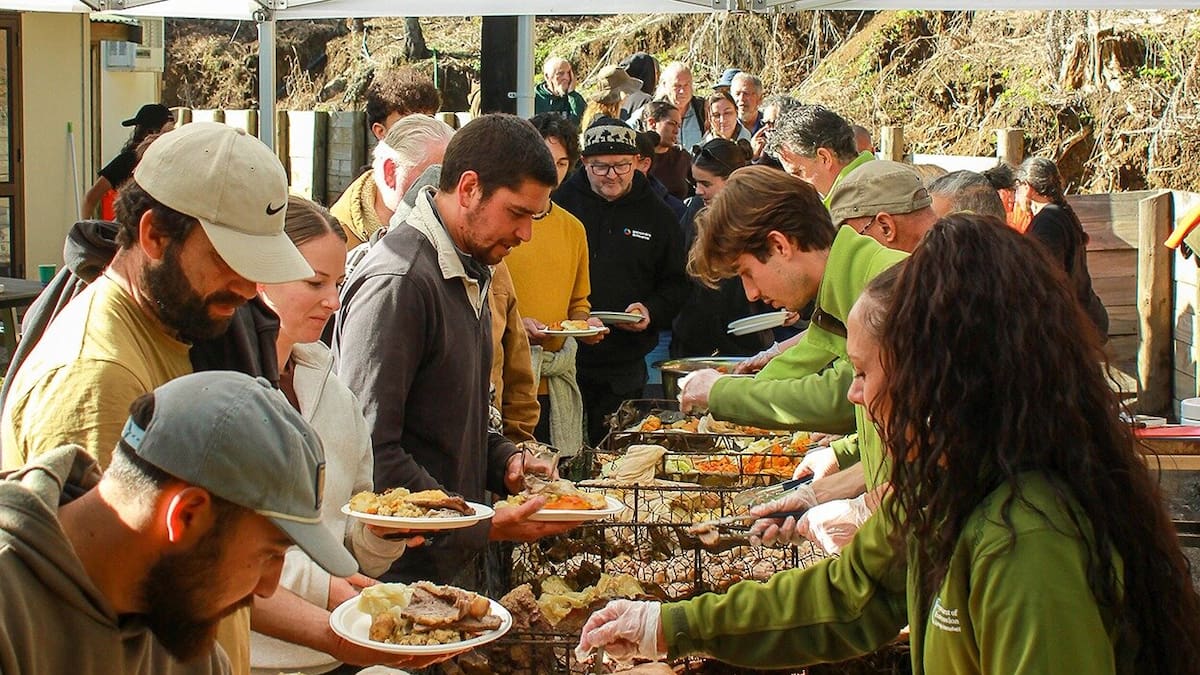 Wild pig hunt draws 80 teams and big crowds on Aotea Great Barrier Island