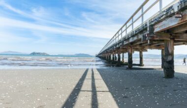 H5N1 bird flu confirmed in Wellington seabird, first NZ case recorded