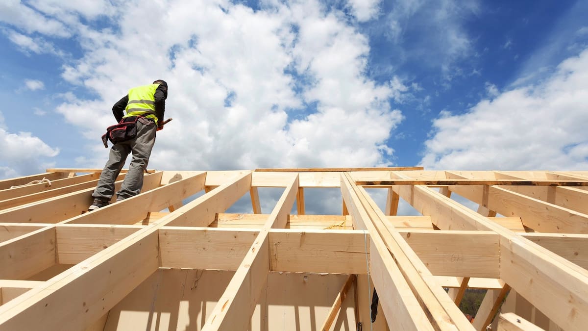 Major Building Act reform isn’t weathertight and risks leaving homeowners exposed – Jenée Tibshraeny
