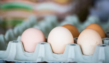 Bird flu in New Zealand: Woolworths reassures shoppers on egg supply