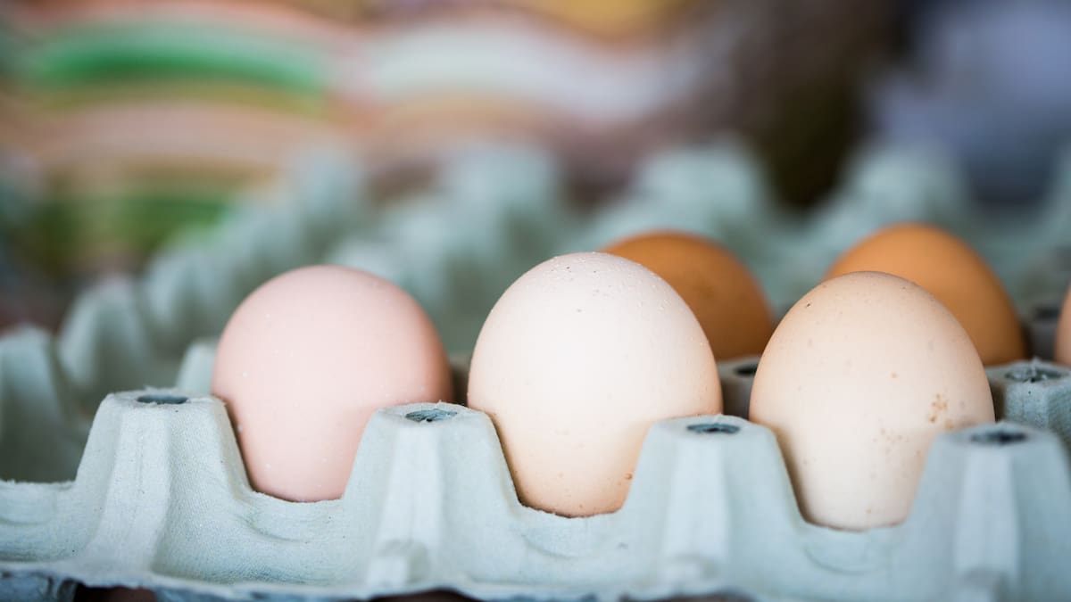 Bird flu in New Zealand: Woolworths reassures shoppers on egg supply