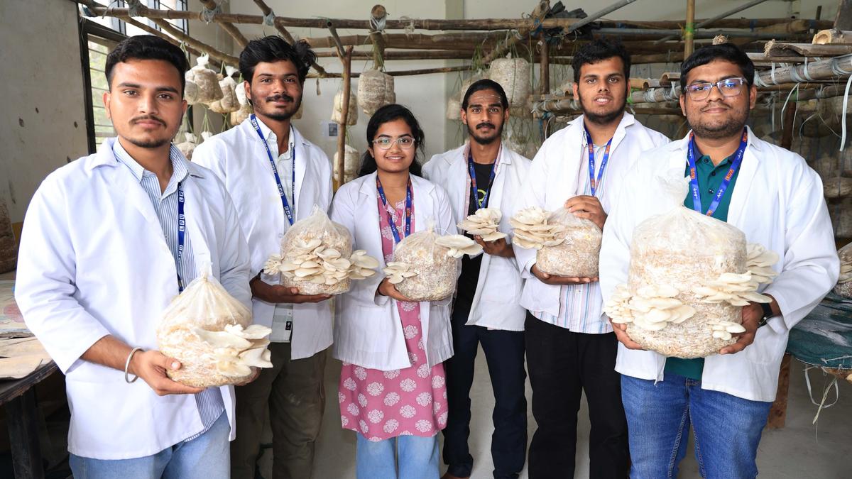 Lovely Professional varsity students launch mushroom startup