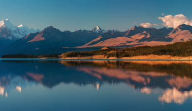 NZ sharemarket down 0.2% on news of high inflation – Market close