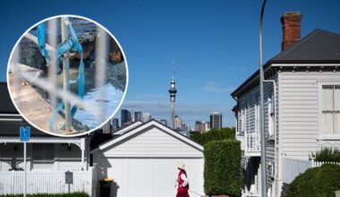St Mary’s Bay sinkhole raises questions as intensification looms