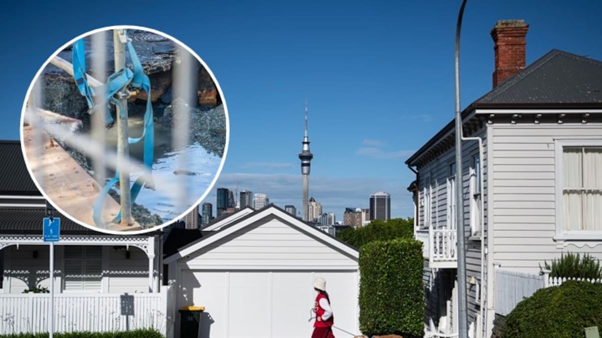 St Mary’s Bay sinkhole raises questions as intensification looms