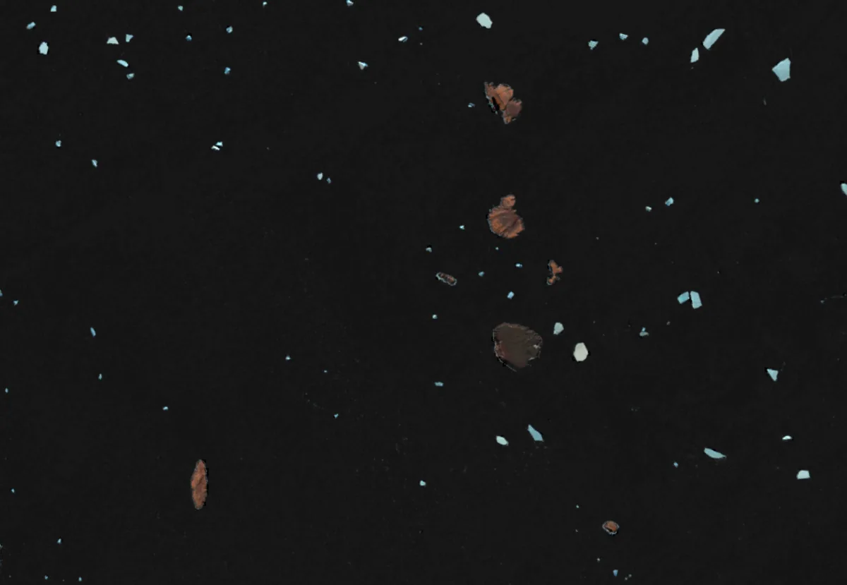 Landsat satellite image of a collection of Adélie penguin colonies off the Antarctic Peninsula