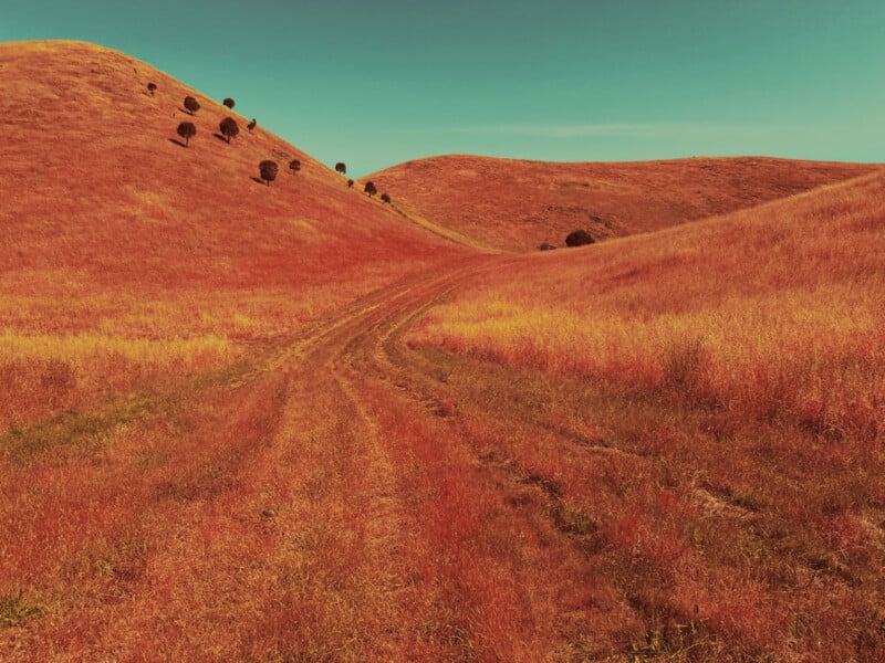 A dirt path winds through rolling hills covered in dry, golden-orange grass under a clear blue sky, with a few scattered trees dotting the hills.