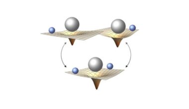 Quantum Gravity