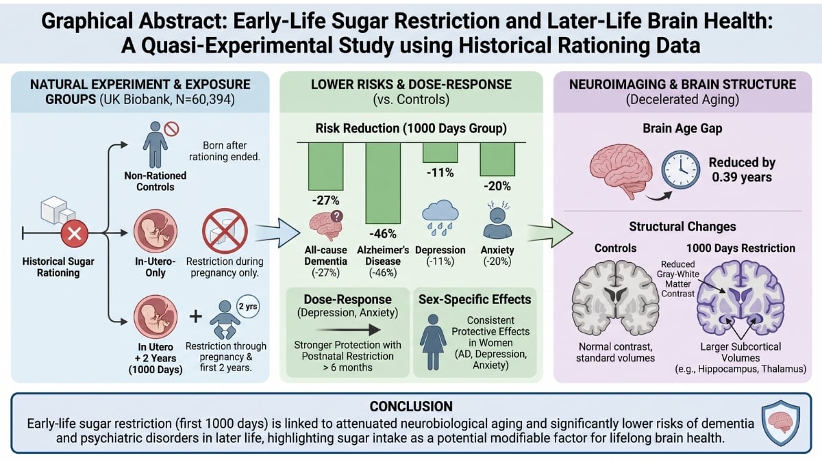 Less Sugar in a Baby's First Years Linked to 46% Lower Alzheimer's Risk