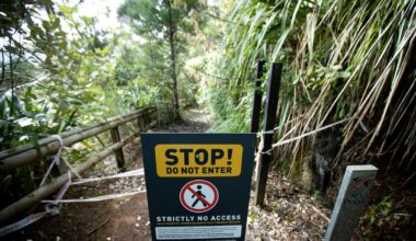 Arrest in West Auckland after reports of intimidation on Titirangi walking track
