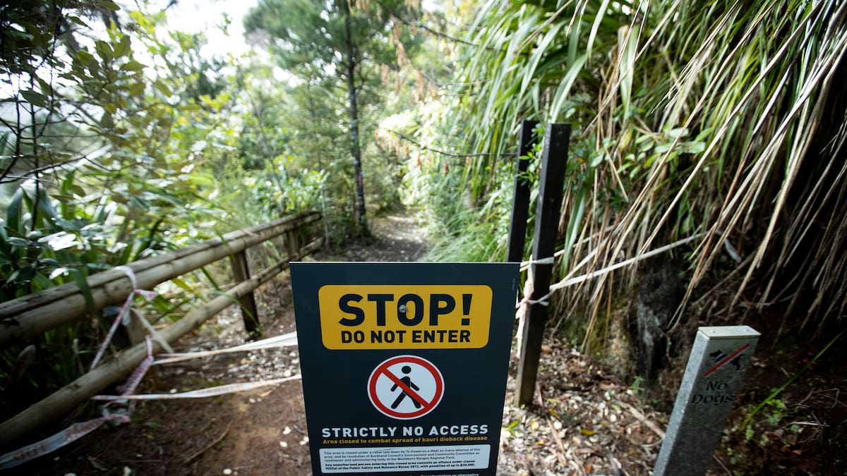 Arrest in West Auckland after reports of intimidation on Titirangi walking track