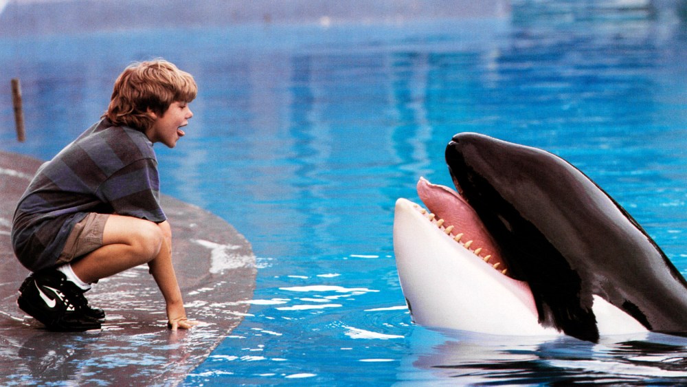 'Free Willy' Reboot in the Works at Warner Bros.