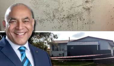 Harcourts agent intentionally broke housing law over mouldy South Auckland rental