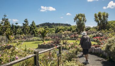 What’s on in Auckland this weekend: Matariki, Shakespeare, truffles and more