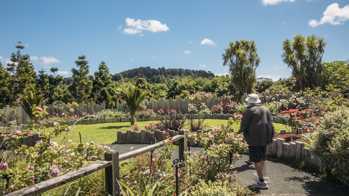 What’s on in Auckland this weekend: Matariki, Shakespeare, truffles and more