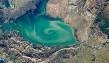 A satellite photo of a lake with a massive green swirl on its sruface