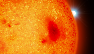 Scientists spot 4 superdense stellar corpses hiding behind their red dwarf companions