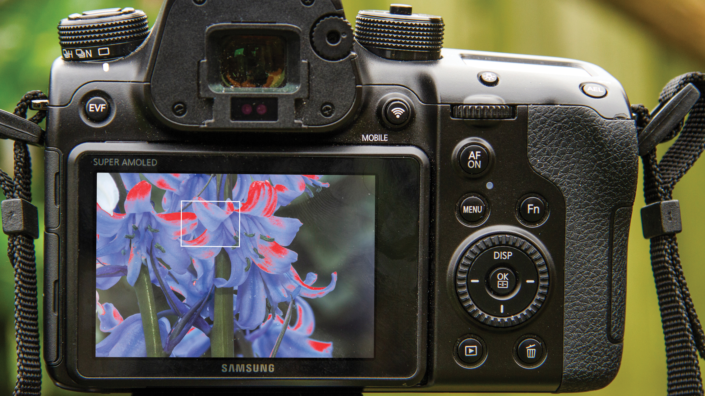 Black Samsung DSLR camera from the black showing the LCD screen with a floral subject highlighted