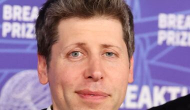 AI may need to be slowed down after security scare, says OpenAI CEO