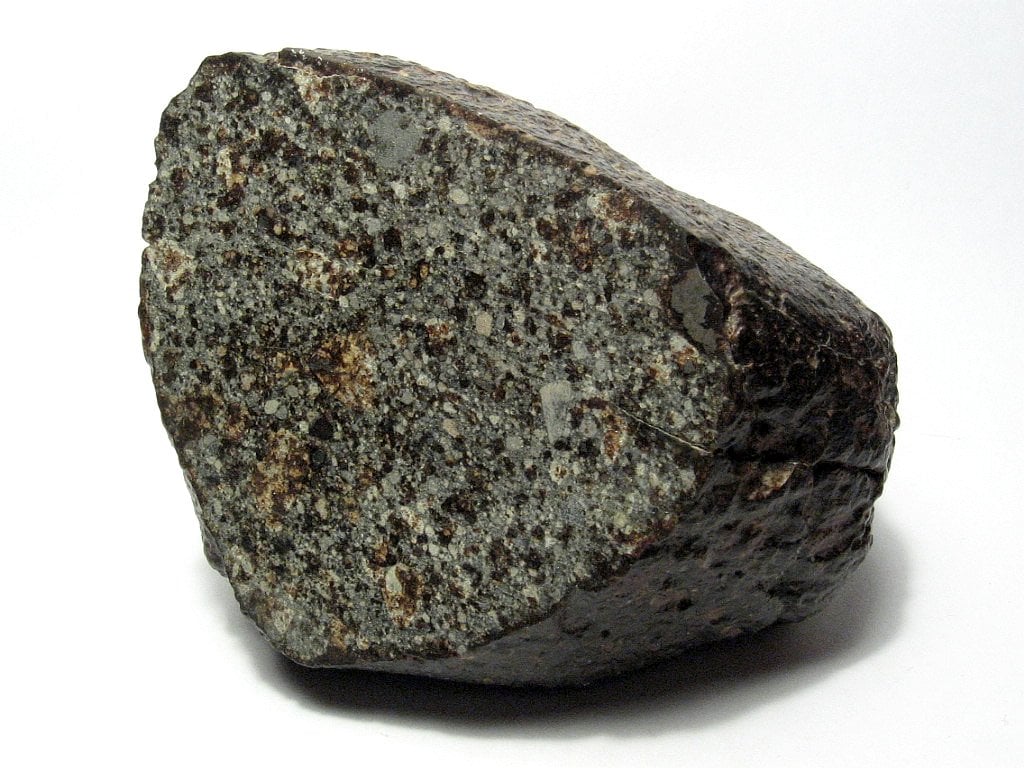 A specimen of the NWA 869 chondrite, showing chondrules and metal flakes (Credit : H Raab)