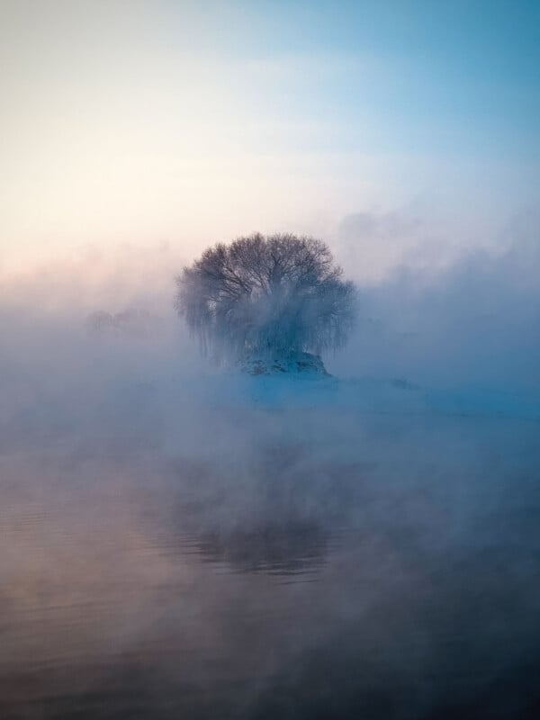 A leafless tree stands on a small island, surrounded by thick mist over calm water, with soft blue and pink light in the sky, creating a serene and mysterious atmosphere.