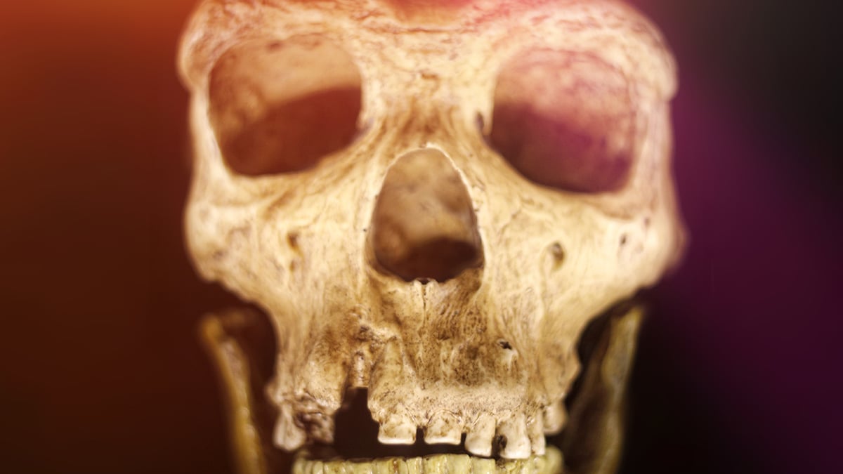Humans And Neanderthals Shared a Culture For 20,000 Years, Cave Discovery Suggests : ScienceAlert