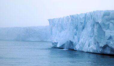 Northeast Greenland National Park