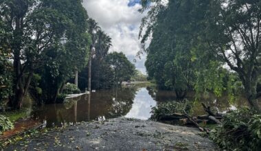 National’s Helensville MP Chris Penk breaks ranks on Waimauku West development over flooding concerns