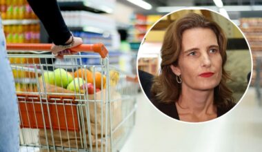 How the Government’s global grocery search stalled with multiple firms declining contact