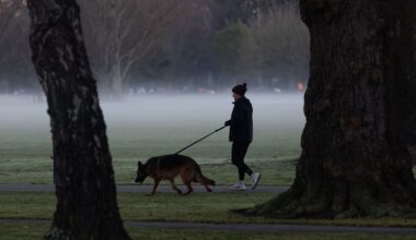 School holiday weather: Severe warnings as wet, windy front hits NZ