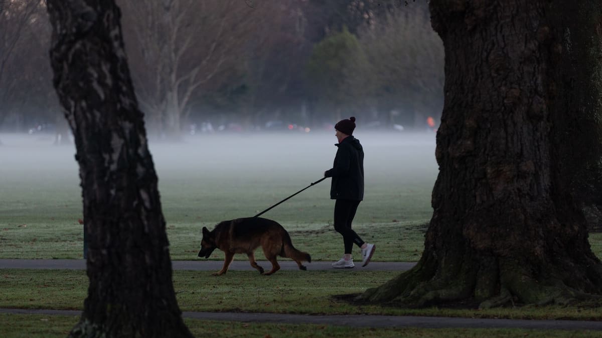 School holiday weather: Severe warnings as wet, windy front hits NZ