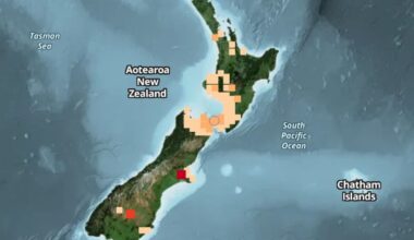 Magnitude 4.6 earthquake near Porirua felt across North Island and South Island