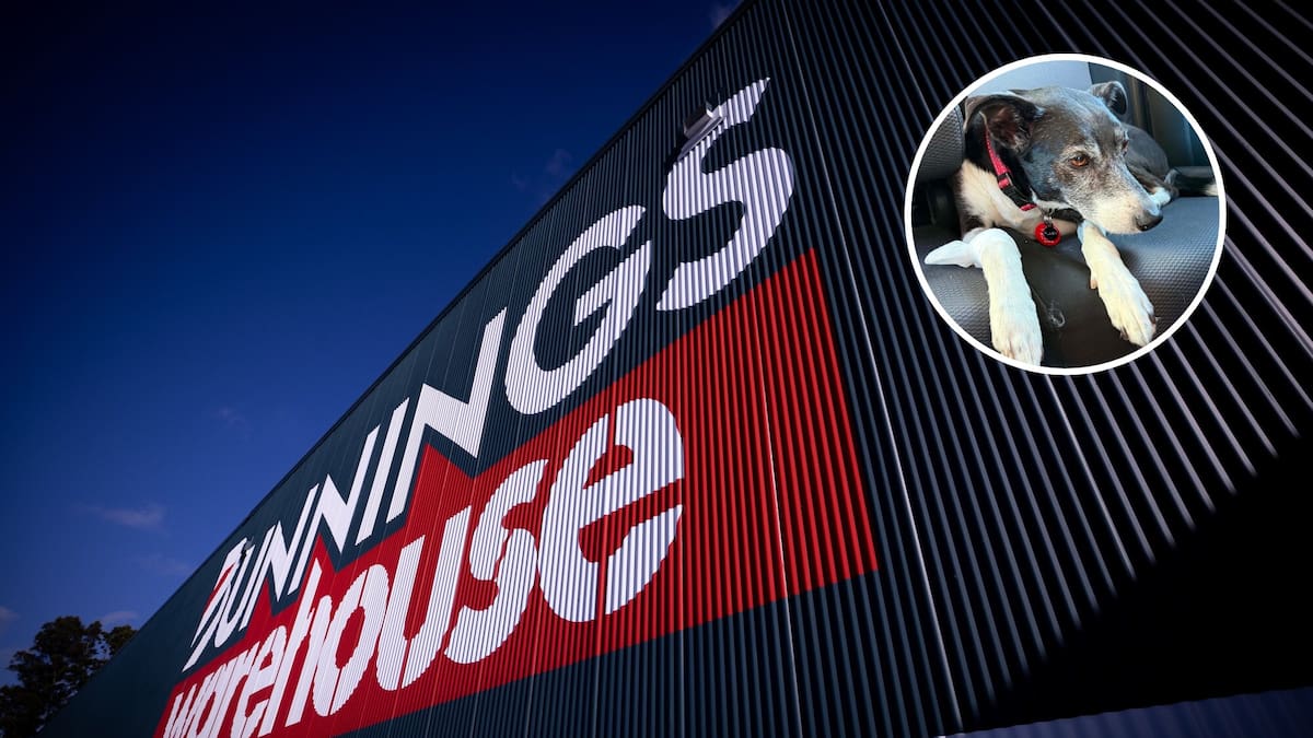 Bunnings pulls Trusty Pork Bone dog treat after pet injury reports