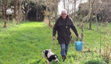 Growing truffle boom sees Northlanders join $2500/kg trade