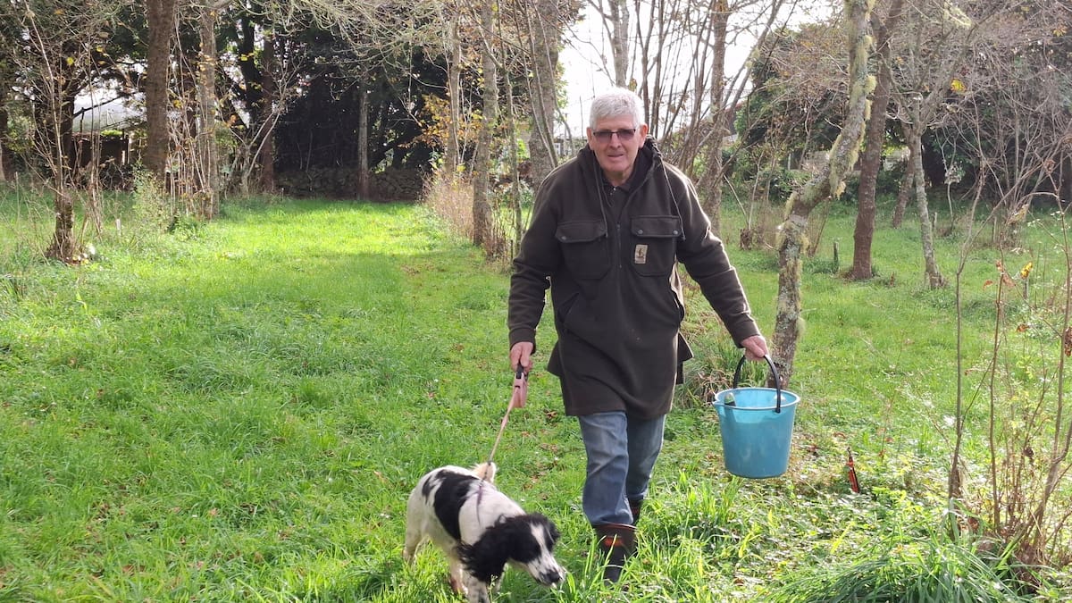 Growing truffle boom sees Northlanders join $2500/kg trade