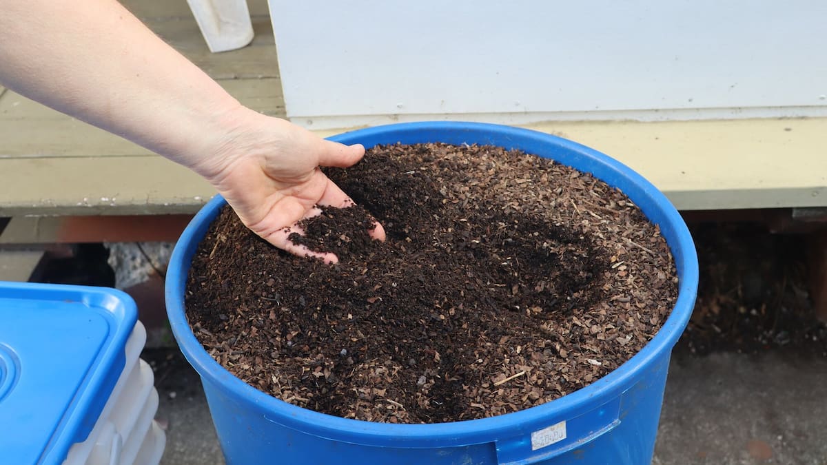Kem Ormond’s vegetable garden: How to make compost