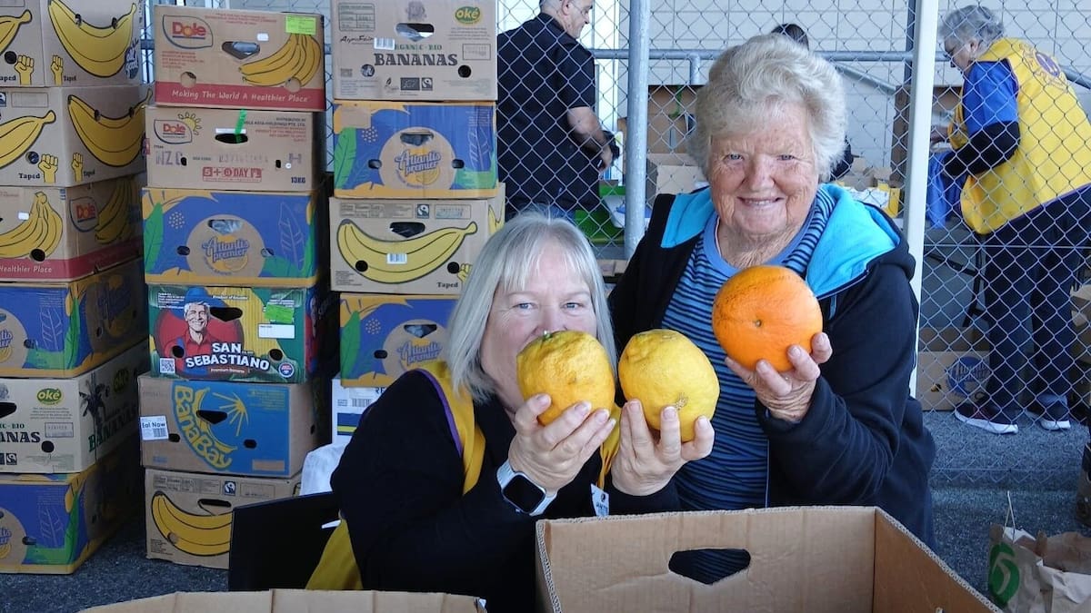 On the Up: Sweet success with Whangārei’s Citrus for South collection