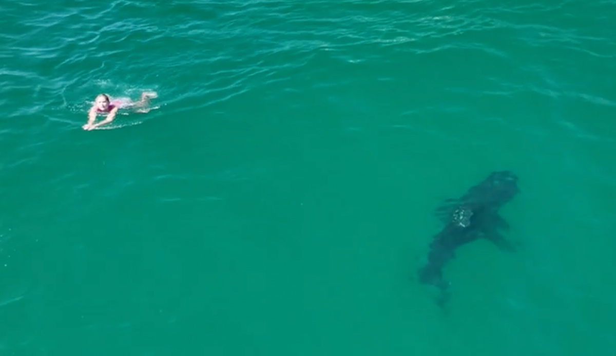 Maybe a little too close for comfort. Photo: Carlos Gauna