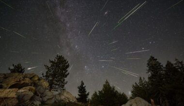 night sky scene with meteors streaking out from the center of the image, trees silhouetted below.