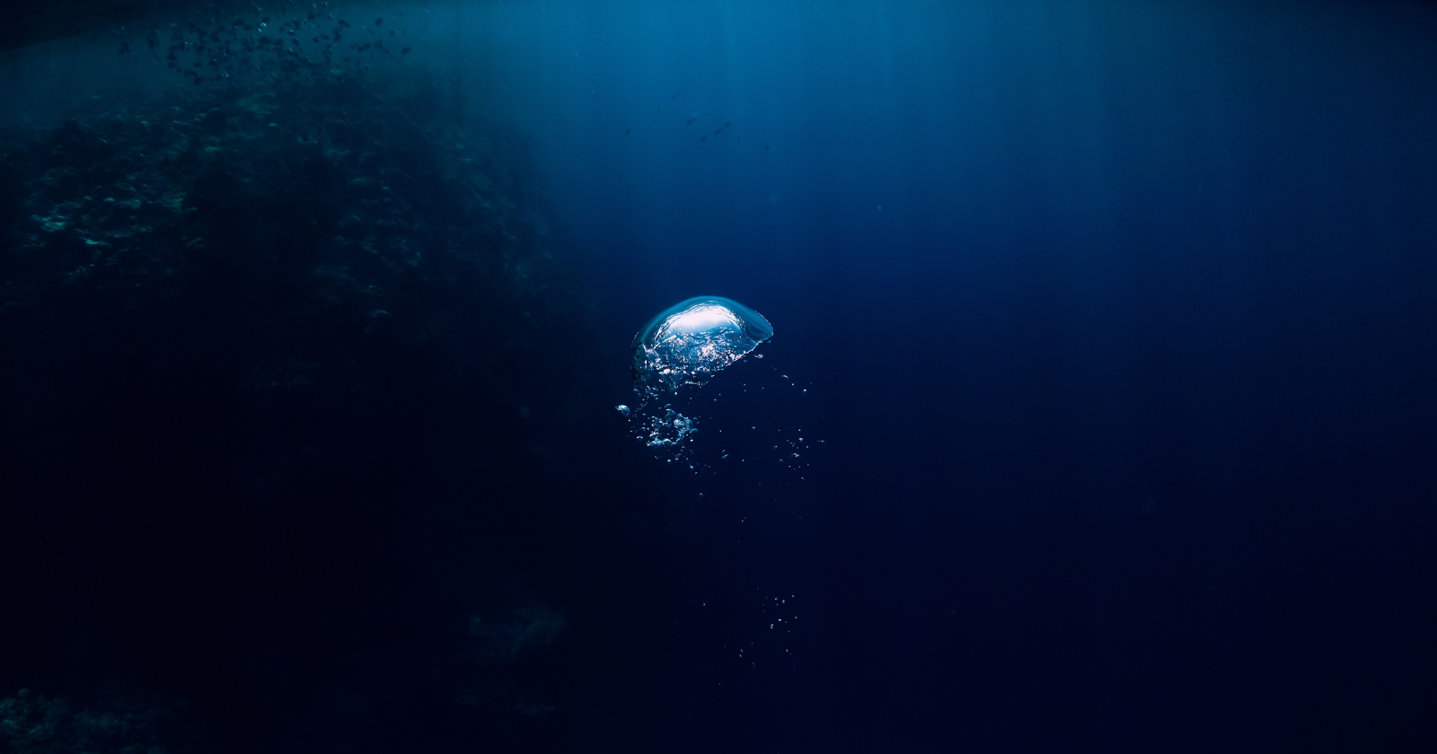 We have more accurate maps of the surface of Mars and the Moon than of the floor of our own ocean — less than a third of the seabed has been measured in real detail, meaning most of the largest landscape on the planet has never been surveyed up close by a ship