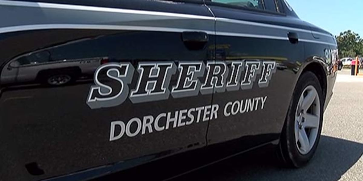 Multi-agency safely resolves mental health crisis on I-95
